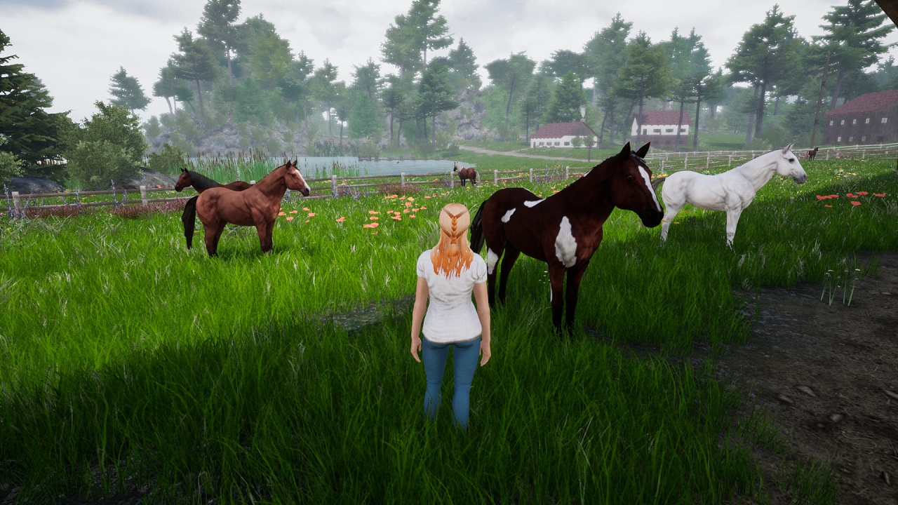 play online horse kids game